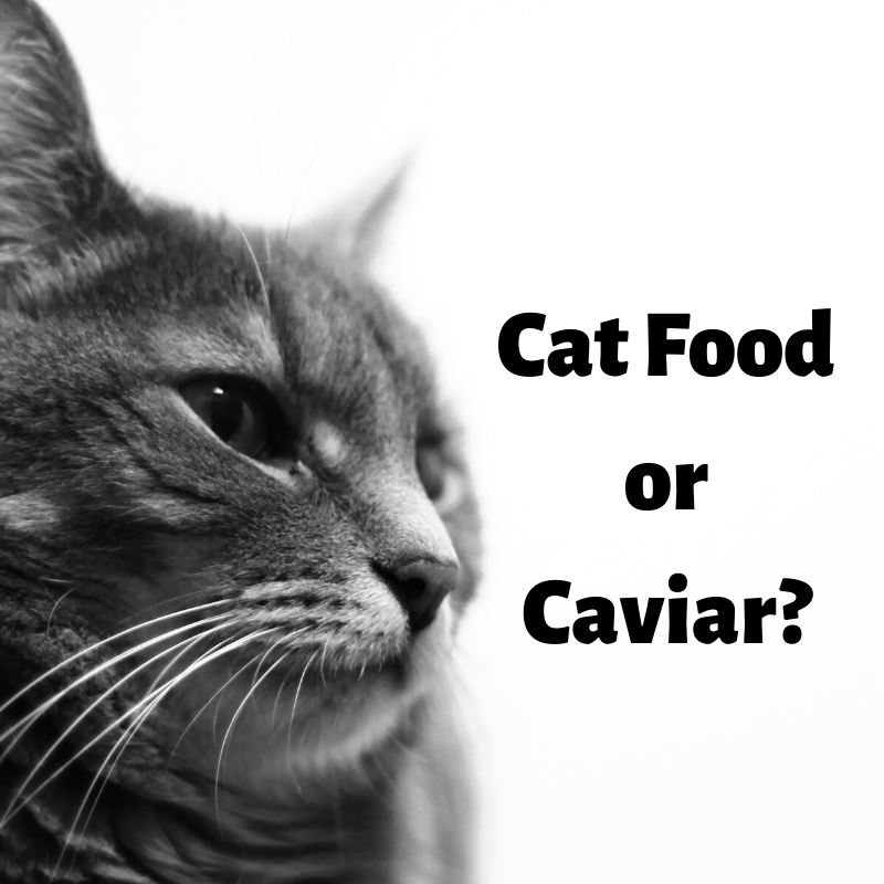 Cat Food or Caviar?