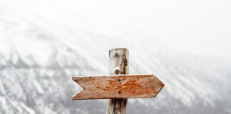 Be Intentional with What You Choose & Accept