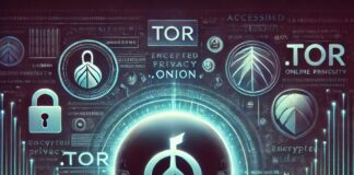 Exploring the Dark Web Using the TOR Browser: Why You Should Consider It