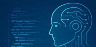 When AI Writes the Code, Wisdom Writes the Rules